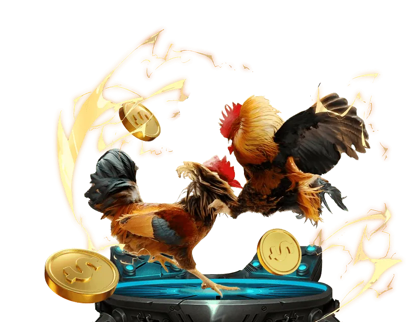 Các loại kèo đá gà tại Loto188